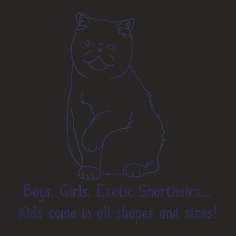 Boys, Girls, & Exotic Shorthairs Cat Breed Parent Ladies Fitted T-Shirt by Bertrand Angulo | Artistshot