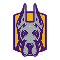 Albany Great Danes Youth Tee | Artistshot