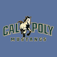 Cal_poly_mustangss Lightweight Hoodie | Artistshot