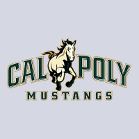 Cal_poly_mustangss Fleece Short | Artistshot