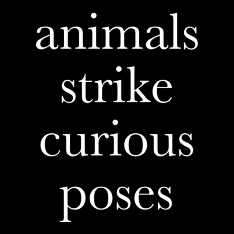 Animals Strike Curious Poses Adjustable Cap by JesusMesaMurillo | Artistshot