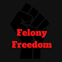 Felony Freedom! Metal Print Vertical | Artistshot