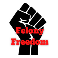 Felony Freedom! Sticker | Artistshot