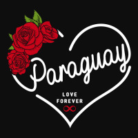 Paraguay Love Forever Crop Top | Artistshot