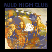 Mild High Club Timeline (retro Edition) Zipper Hoodie | Artistshot