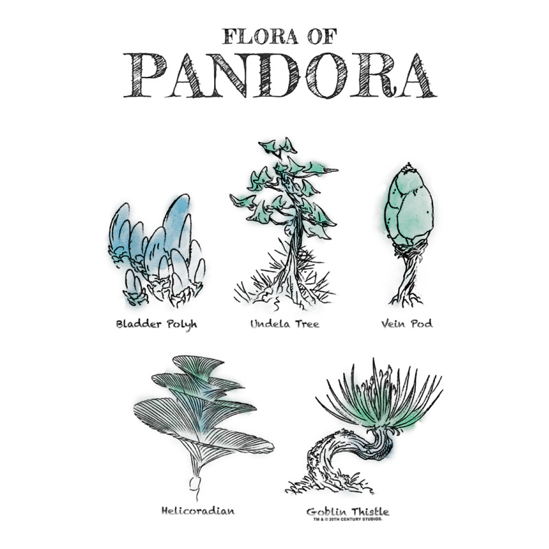 Avatar Floral Of Pandora Textbook Sketches T Shirt Long Sleeve Shirts | Artistshot