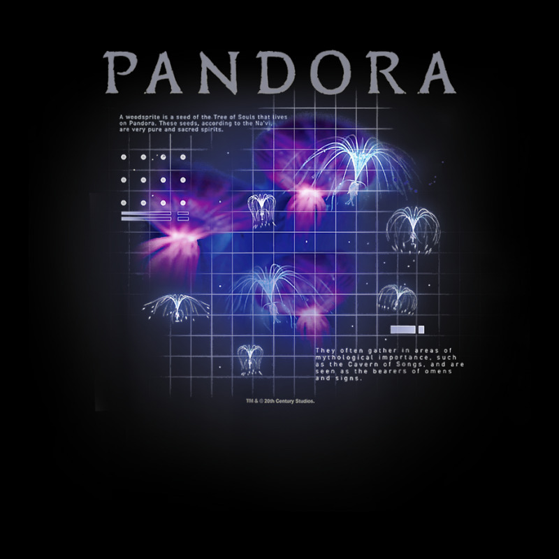 Avatar Pandora Woodsprites Diagram T Shirt Zipper Hoodie | Artistshot