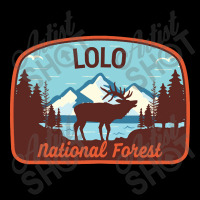 Lolo National Forest, Lolo National Forest Vintage, Lolo National Fore Youth Hoodie | Artistshot