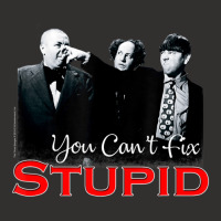 Tts- The Three Stooges You Can't Fix Stupid Champion Hoodie | Artistshot