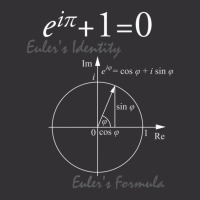 Euler's Identity Euler's Formula For Math Geeks Vintage Hoodie | Artistshot