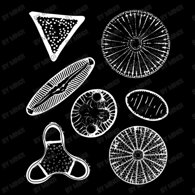 Diatoms Beautiful Science Adjustable Cap | Artistshot