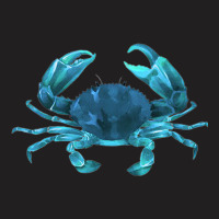 Aqua Colored Crab T-shirt | Artistshot