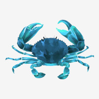 Aqua Colored Crab Camper Cup | Artistshot