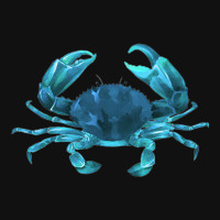 Aqua Colored Crab Portrait Canvas Print | Artistshot