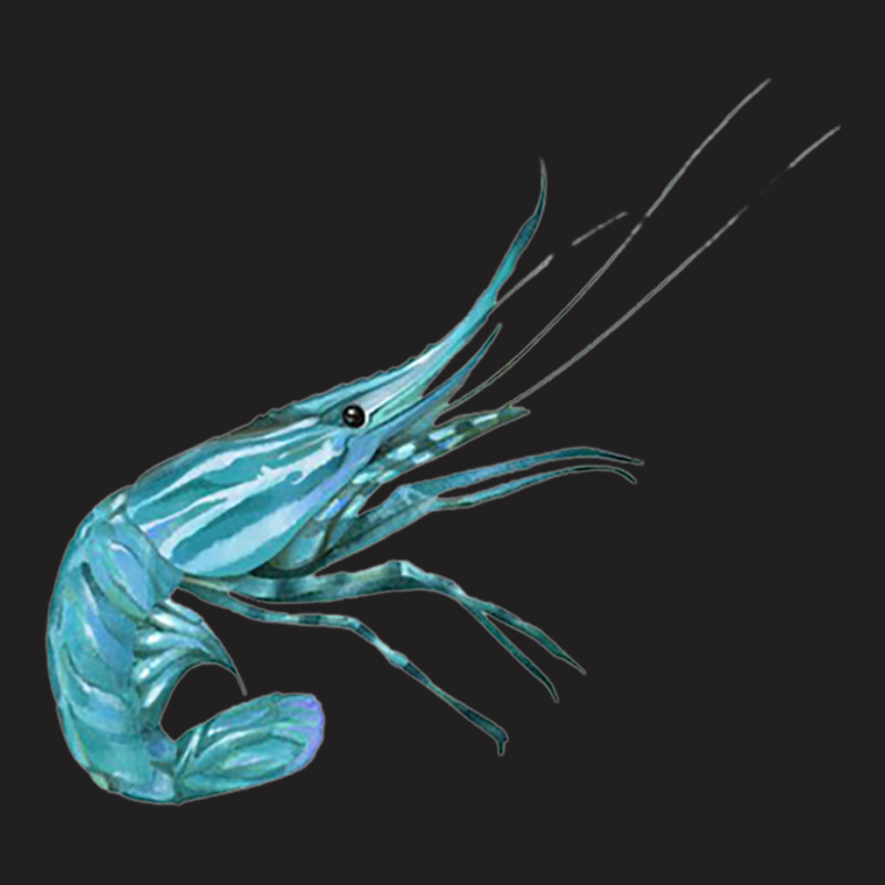 Aqua Colored Prawn T-shirt | Artistshot