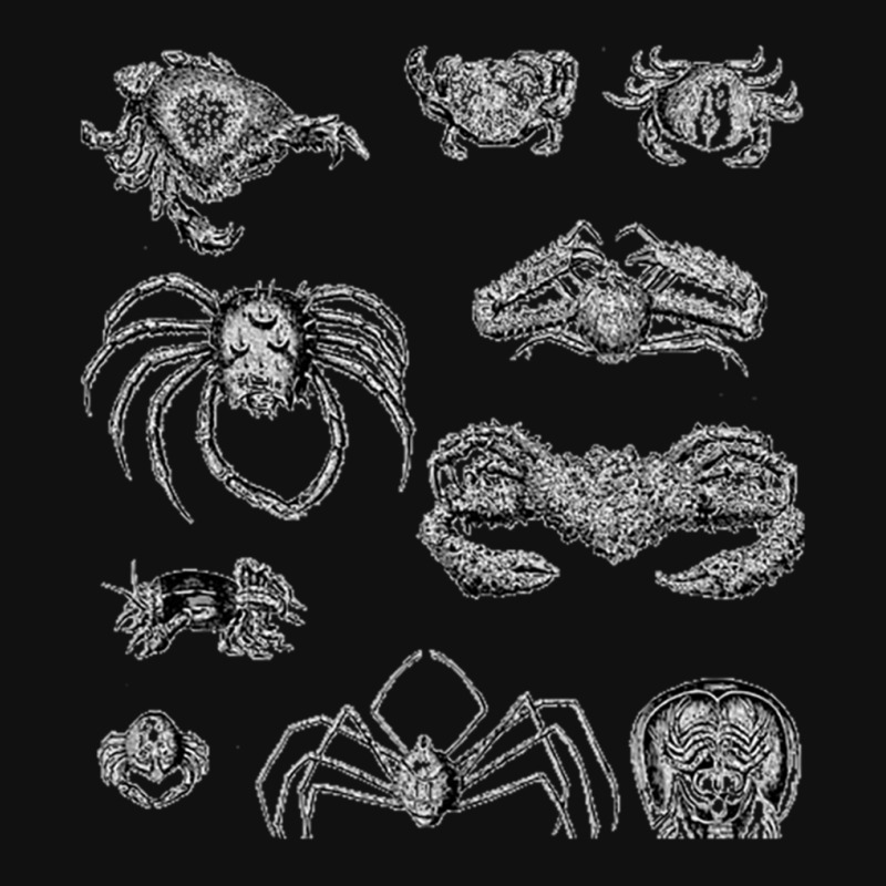 Crustaceancore For Ocean And Animal Lovers Sea 2 Metal Print Square | Artistshot