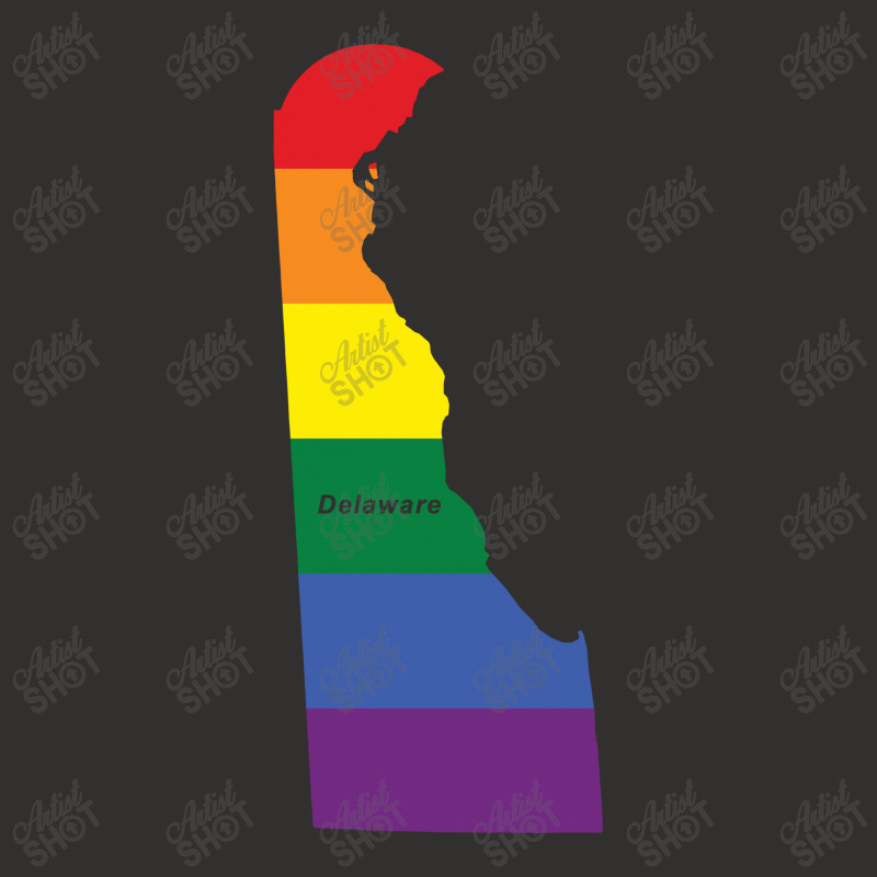 Delaware Rainbow Flag Champion Hoodie | Artistshot