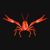 Crustaceancore For Ocean And Animal Lovers Sea Life Metal Print Square | Artistshot