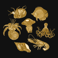 Golden Crustaceancore Full Set Car Mats | Artistshot