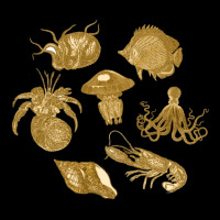 Golden Crustaceancore V-neck Tee | Artistshot