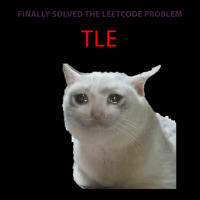 Leetcode Problem Crying Cat Meme Adjustable Cap | Artistshot