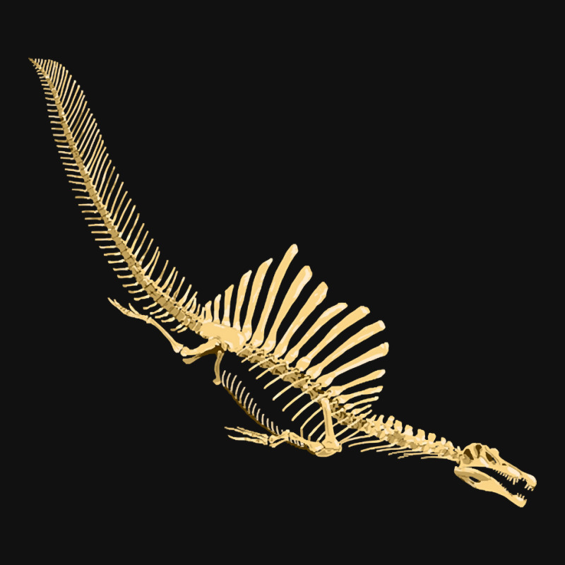 Spinosaurus Aegyptiacus, Skeleton Diving, Spinosaurus, Aegyptiacus, Sk Skinny Tumbler | Artistshot