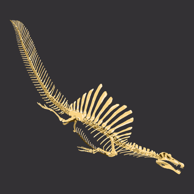 Spinosaurus Aegyptiacus, Skeleton Diving, Spinosaurus, Aegyptiacus, Sk Vintage Short | Artistshot