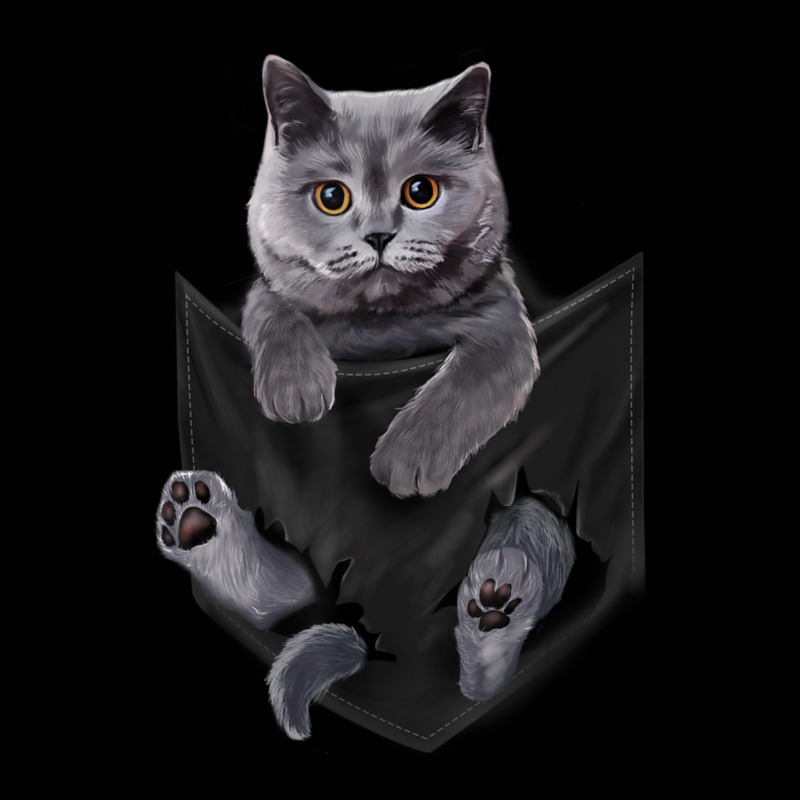 British Grey Cat In Pocket Cats Toddler 3/4 Sleeve Tee | Artistshot