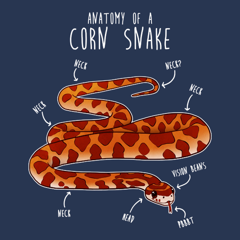 Custom Anatomy Of A Corn Snake, Anatomy Of A Corn Snake Art, Anatomy Of ...