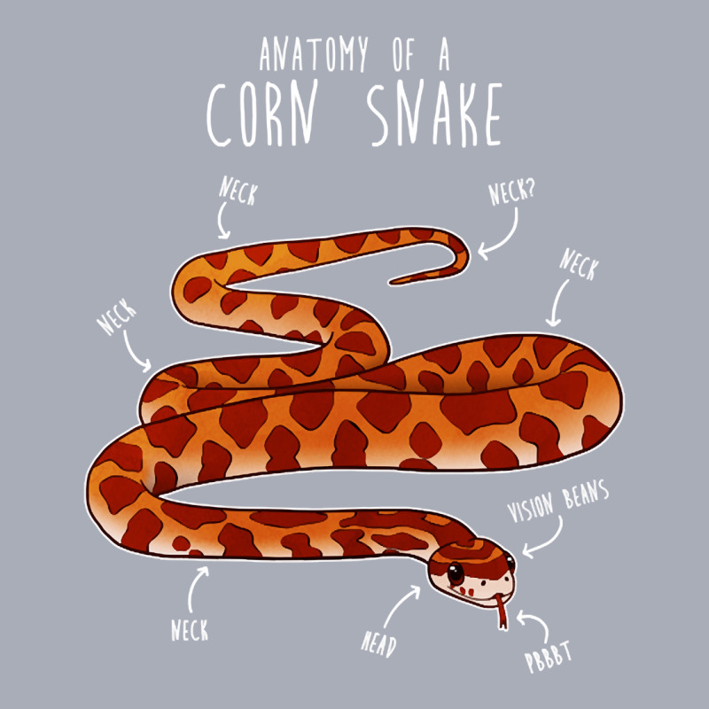 Custom Anatomy Of A Corn Snake, Anatomy Of A Corn Snake Art, Anatomy Of ...