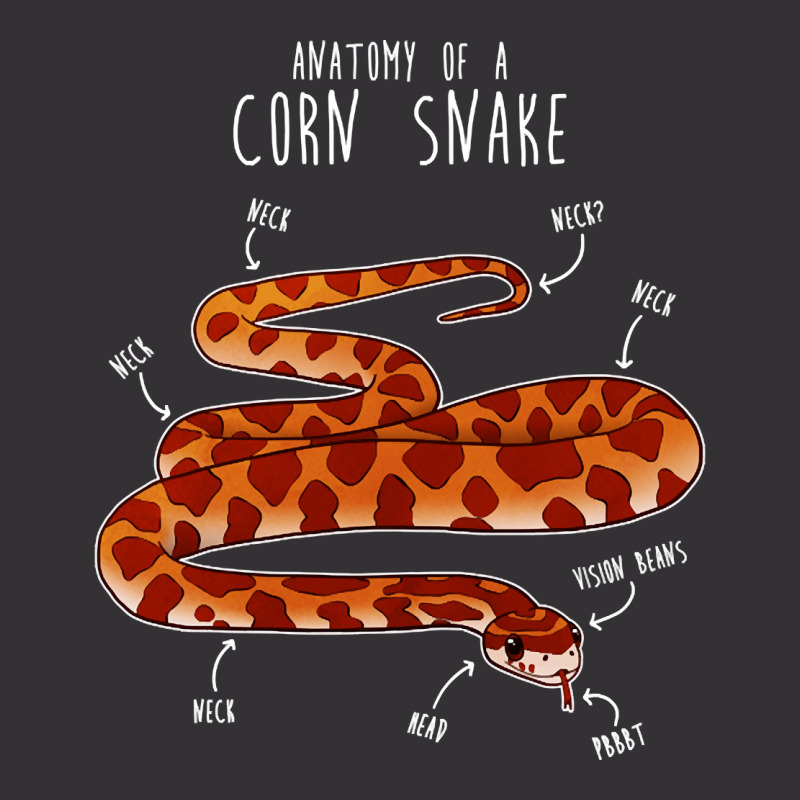 Anatomy Of A Corn Snake, Anatomy Of A Corn Snake Art, Anatomy Of A Cor ...