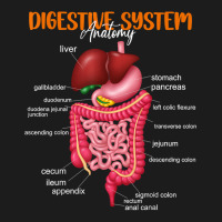 Funny Digestive System Anatomy Anatomical Biology Teacher T Shirt Hoodie & Jogger Set | Artistshot