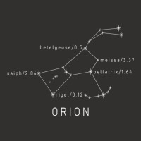 Orion Constellation Astronomy Lover Stargazing Pullover Hoodie Champion Hoodie | Artistshot