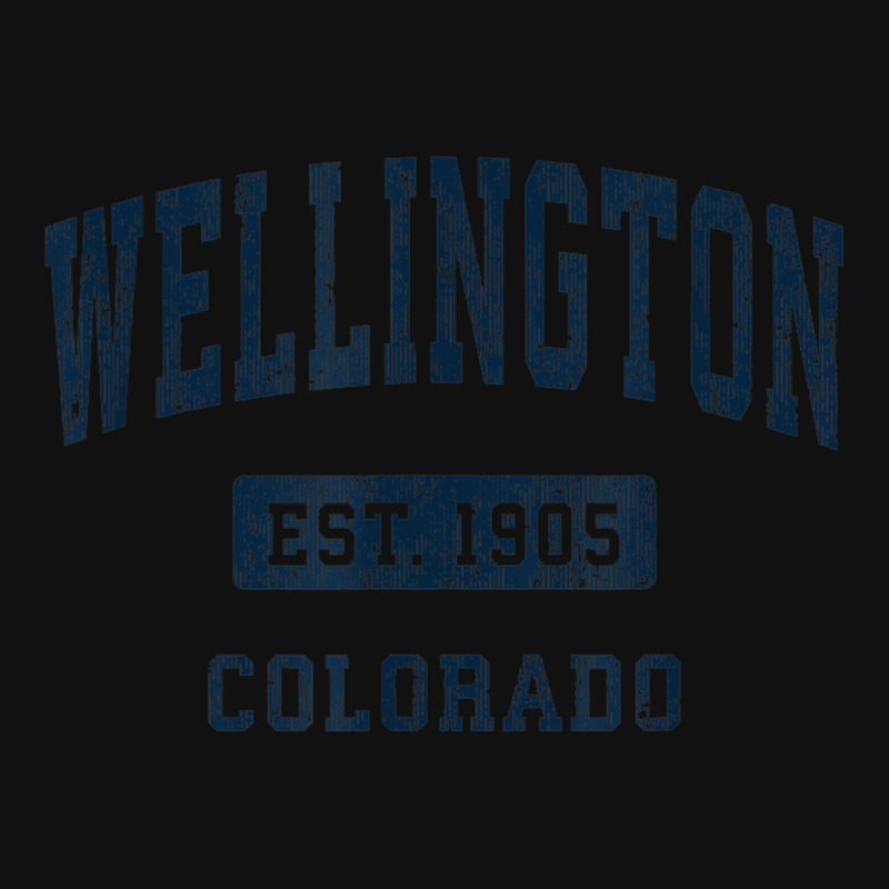 Wellington Colorado Co Vintage Athletic Sports Design Baby Bibs | Artistshot