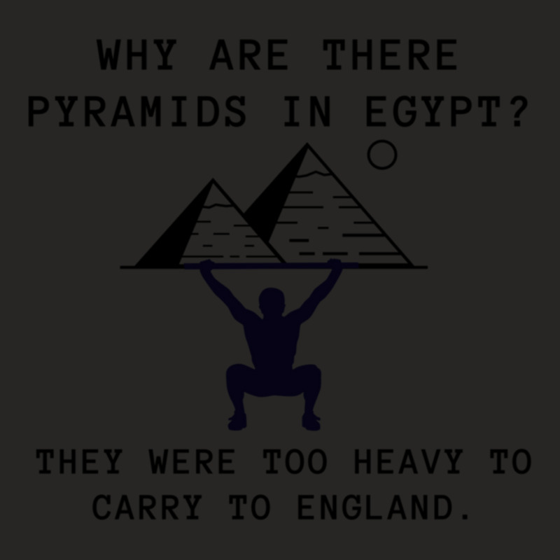 Why Are There Pyramids In Egypt They Were Too Heavy  (1) Ladies Fitted T-Shirt by cm-arts | Artistshot