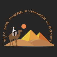 Why Are There Pyramids In Egypt Ladies Fitted T-shirt | Artistshot