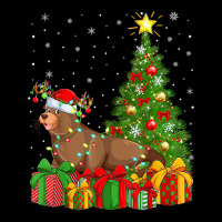 Sea Lion Lover Xmas Holiday Santa Sea Lion Christmas Tree T Shirt Youth Jogger | Artistshot