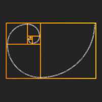 Golden Ratio Fibonacci Spiral Arc Perfect Geometry 3/4 Sleeve Shirt | Artistshot