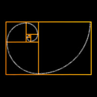 Golden Ratio Fibonacci Spiral Arc Perfect Geometry Zipper Hoodie | Artistshot