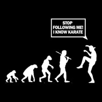 Funny T Shirt Of Karate Evolution Zipper Hoodie | Artistshot