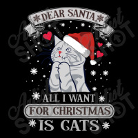 All I Want For Christmas Is Cats Youth Sweatshirt | Artistshot