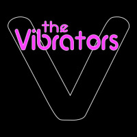 The Vibrators Cropped Sweater | Artistshot