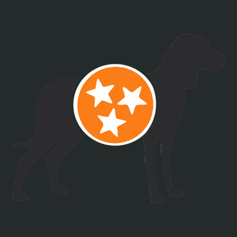 Dark Gray Hound With Orange _amp_ White Tri-star Women's Triblend Scoop T-shirt by KIMARMSTEAD | Artistshot