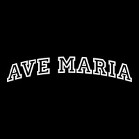 Ave Maria Athletic Arch College University Alumni T Shirt Long Sleeve Shirts | Artistshot