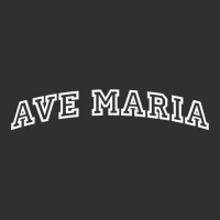 Ave Maria Athletic Arch College University Alumni T Shirt Champion Hoodie | Artistshot