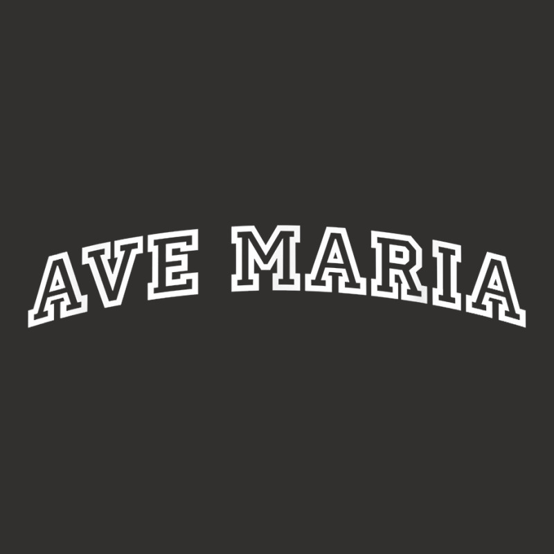 Ave Maria Athletic Arch College University Alumni T Shirt Champion Hoodie by cm-arts | Artistshot