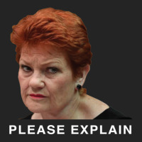 Pauline Hanson - Please Explain 3/4 Sleeve Shirt | Artistshot