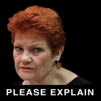 Pauline Hanson - Please Explain Men's 3/4 Sleeve Pajama Set | Artistshot