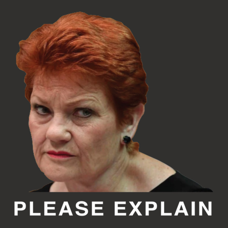 Pauline Hanson - Please Explain Champion Hoodie by cm-arts | Artistshot