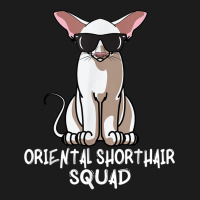 Oriental Shorthair Squad Funny Oriental Shorthair Cat Mom T Shirt Hoodie & Jogger Set | Artistshot